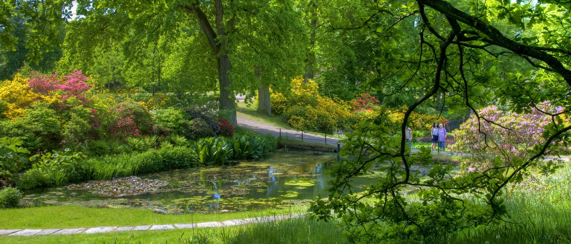 Psychiatrist in Rivonia, Sandton